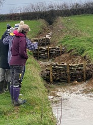 People looking at dams along the river Axe