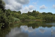 A view of Chard Reservoir