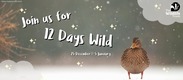 somerset wildlife trust 12 days wild banner