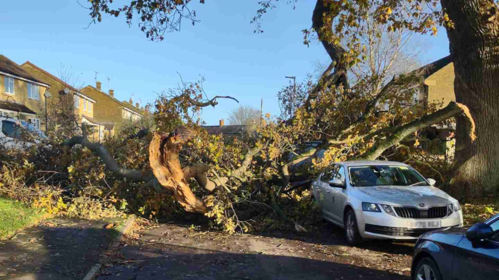 A branch of a tree which has fallen on a car in a residential street.