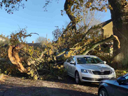 A branch of a tree which has fallen on a car in a residential street.