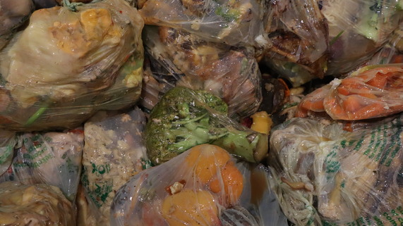 Food waste