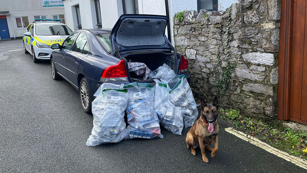 Evidence bags containing illegal tobacco, vapes & cash outside an unmarked car, with a German Shepard sniffer dog sitting in front.