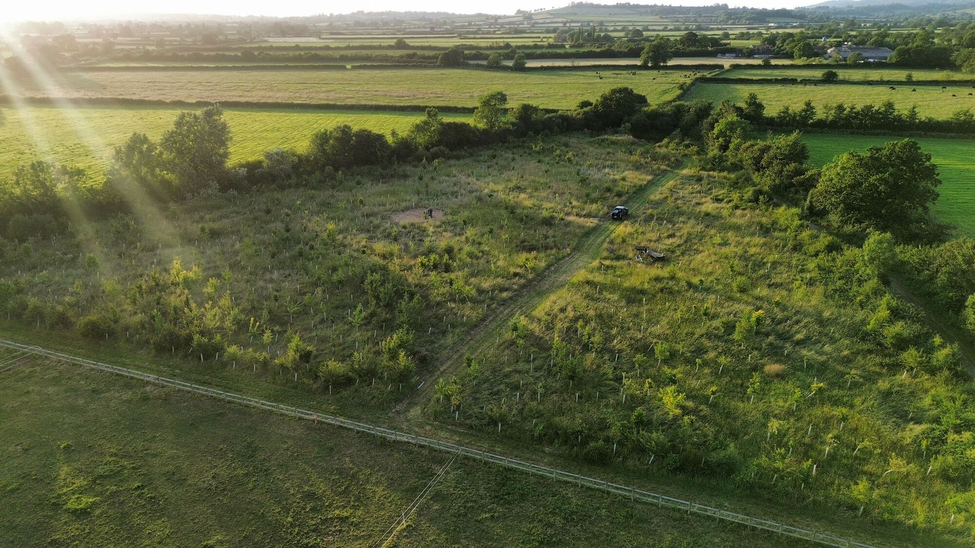 The area of land that is being rewilded