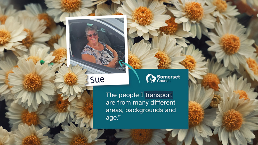 Somerset Council-branded graphic featuring a polaroid of a smiling lady sat in a car on a background of daisies, captioned 'Sue'.