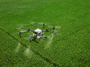 Stock image of a drone fertilising crops by DJI-Agras from Pixabay.