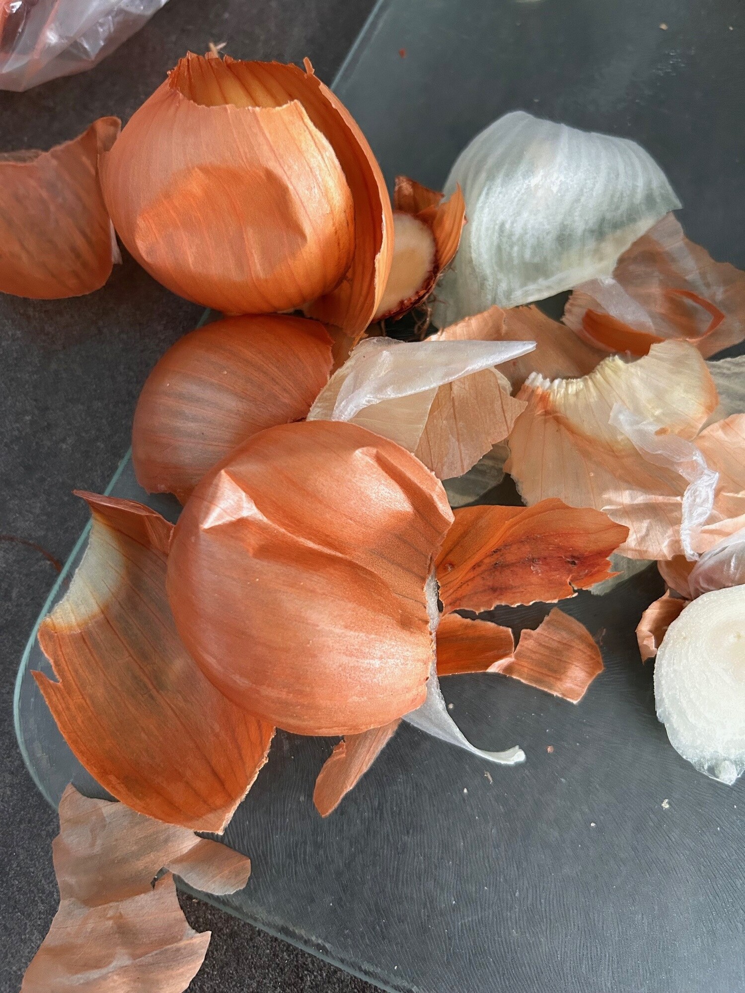 Onion peelings food waste