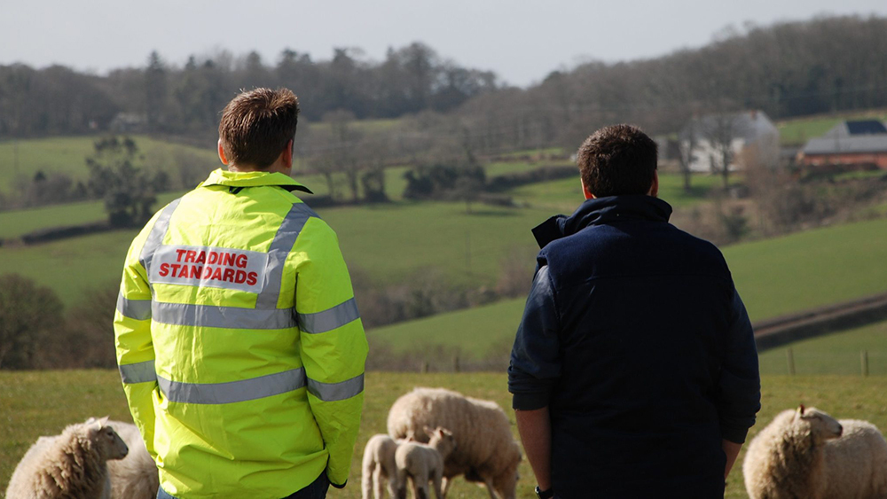 A Heart of the South West Trading Standards Officer and farmer overlooking fields with sheep.