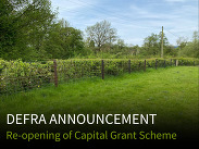 Headgerow of a field, captioned: 'Defra announcement. Re-opening of Capital Grant Scheme'.