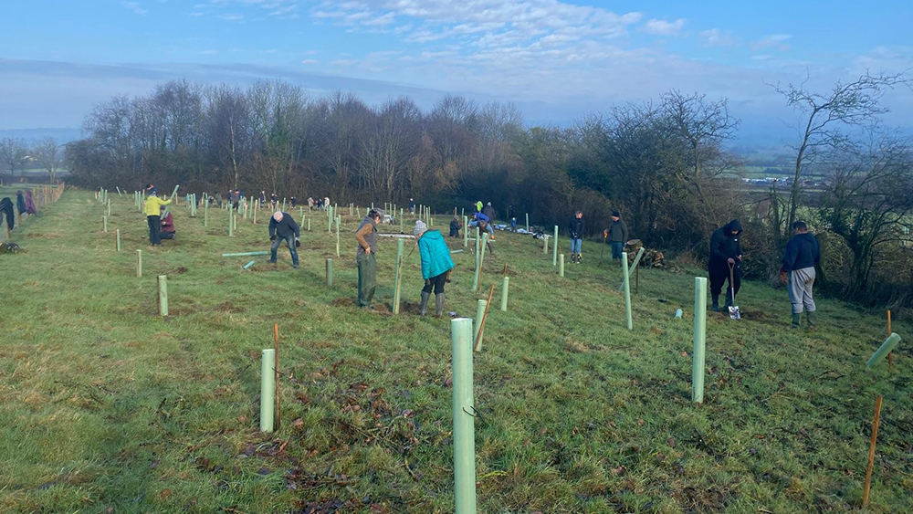 People planting trees in a field from 'Reimagining the Levels'.