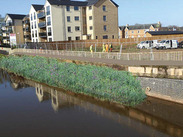 Visualisation of a revetment placement within the River Tone.