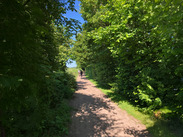 A sunny day on the Ilminster-Chard cycle path, with a volunteer maintaining the trail amid lush green trees.