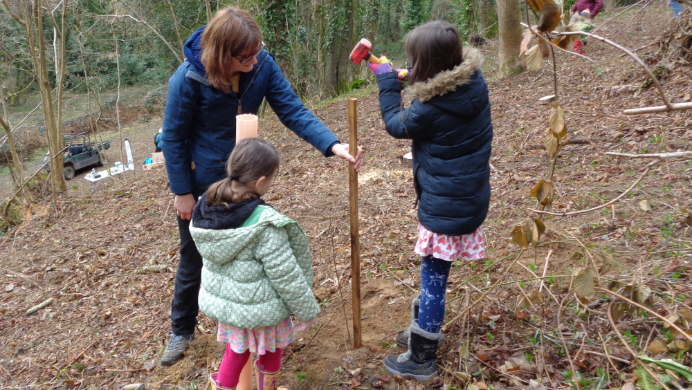 Community Tree planting at Pitt Wood with children helping secure a stake for a newly planted tree in a woodland clearing.