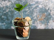 Stock image of a sapling growing from a money pot by Micheile Henderson from Unsplash.