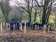 Group of volunteers planting young trees in protective tubes at Ham Hill to celebrate National Tree Week and boost biodiversity.