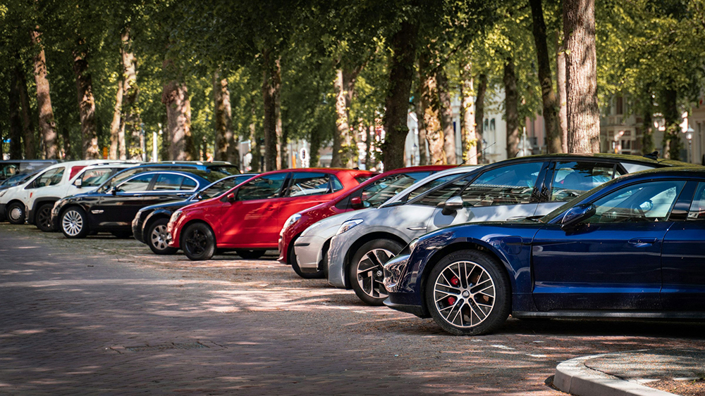 Row of parked cars in a tree-lined street parking area on a sunny day, showing various vehicle colours and types.