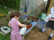 Pupils from St Margaret’s watering trays of young plants outdoors as part of the Better Planet Schools sustainability activities.