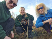 Rangers and volunteers kneel beside a newly planted black poplar cutting at Wilstock and Stockmoor Country Park.