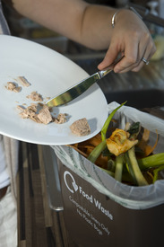Food waste recycling caddy