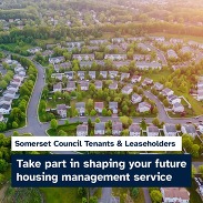 Aerial view of a leafy housing estate with curved streets, inviting Somerset Council tenants and leaseholders to shape housing services.