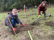 Volunteers planting young trees at Spring Gardens as part of a community woodland project, with saplings, tools and woodland in the background.