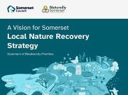 Cover page of Somerset Council's LRNS, featuring an illustrated map depicting wildlife, rivers, towns and landscapes.