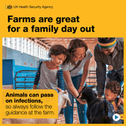 UK Health Security Agency graphic showing families interacting with farm animals, with text advising visitors to follow farm hygiene guidance.