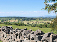 Somerset countryside with patchwork green fields stretching into the distance, viewed over a dry stone wall under a clear blue sky.