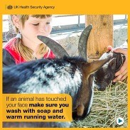 Child feeding a goat at a farm with hygiene advice to wash hands after animal contact. Image: UK Health Security Agency.