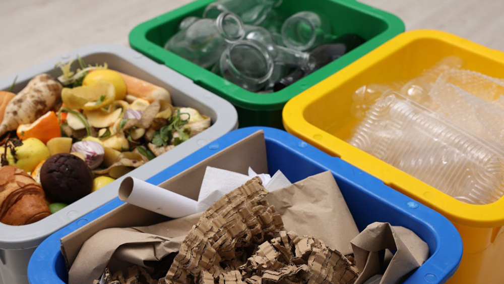 Four colour-coded recycling containers holding food waste, glass bottles, plastic packaging and cardboard paper for sorting household waste.