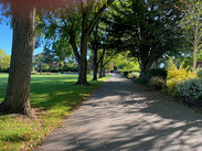 People enjoying a sunny day in Vivary Park, Taunton, with green open space and trees in view.