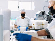 Worker in a food production facility handling large rounds of cheese on a packaging line, with colleagues operating machinery in the background.