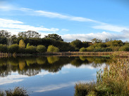 Provide alt text for the attached image up to 140 characters. Note, it features Wilstock and Stockmoor Country Park.