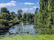River with water lilies and wetland vegetation, providing a natural habitat for wildlife in an urban green space.