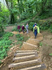 OUr Monday volunteers restoring steps at Hedgecock Woods to improve accessibility