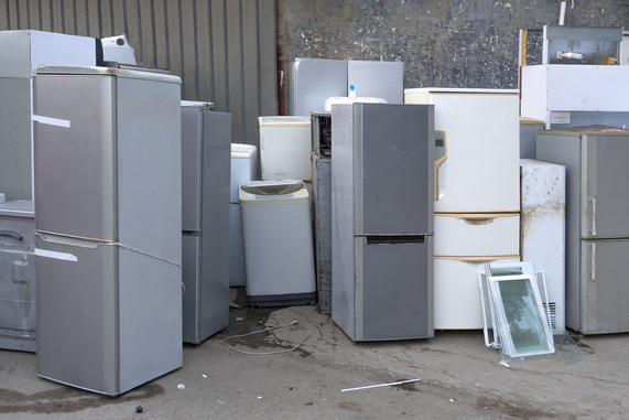Fridge waste -GettyImages-2249851848 - richjem