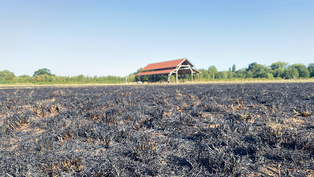 Scorched grass and vegetation at Longrun Meadow after a fire caused by a disposable barbecue.