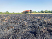 Scorched grass and vegetation at Longrun Meadow after a fire caused by a disposable barbecue.