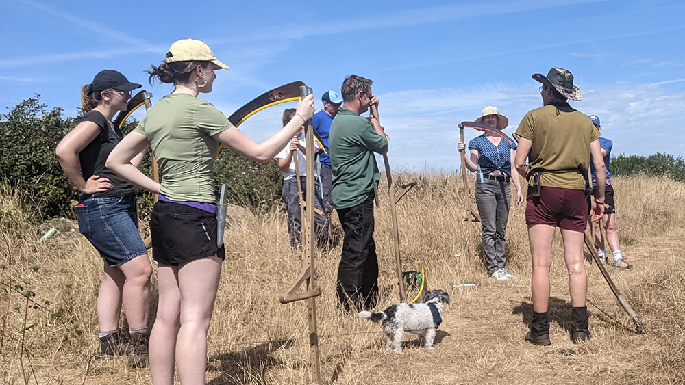 Council staff learn to use Austrian scythes during a training session at Ham Hill.