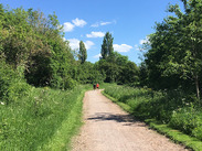 The Strawberry Line Path winding through Somerset countryside, with a traffic-free route bordered by trees and green vegetation.