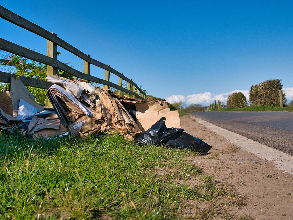 Fly-tipped cardboard, packaging and rubbish dumped beside a rural roadside, highlighting illegal waste disposal.