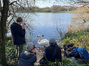 People photograph a swan beside Chard Reservoir during a guided photography walk.