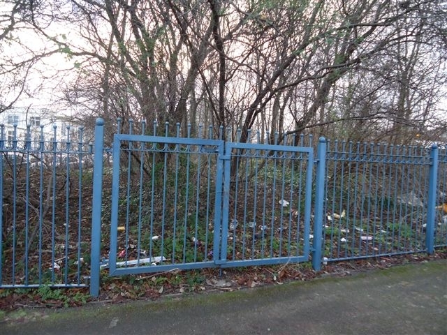 Your TARA News litter