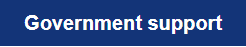 government support