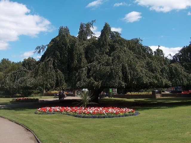 Endcliffe Park