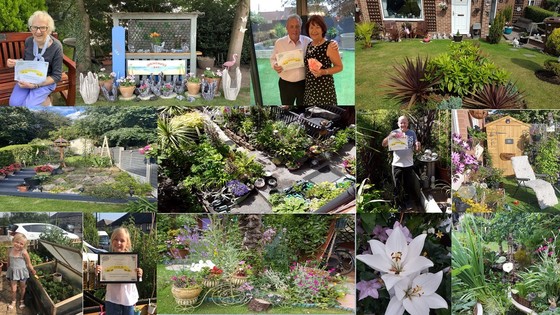 A selection of gold garden competition winners