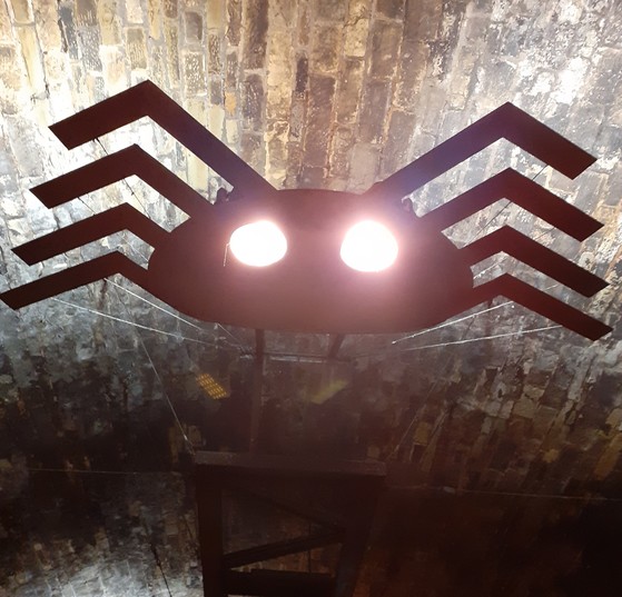 spider