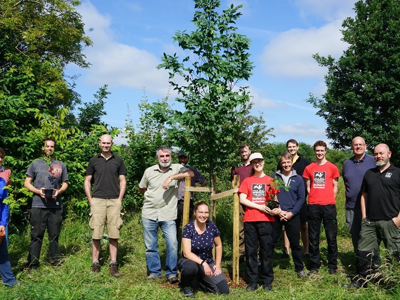 A group of people smiling pose in front of a young tree they have just planted 
