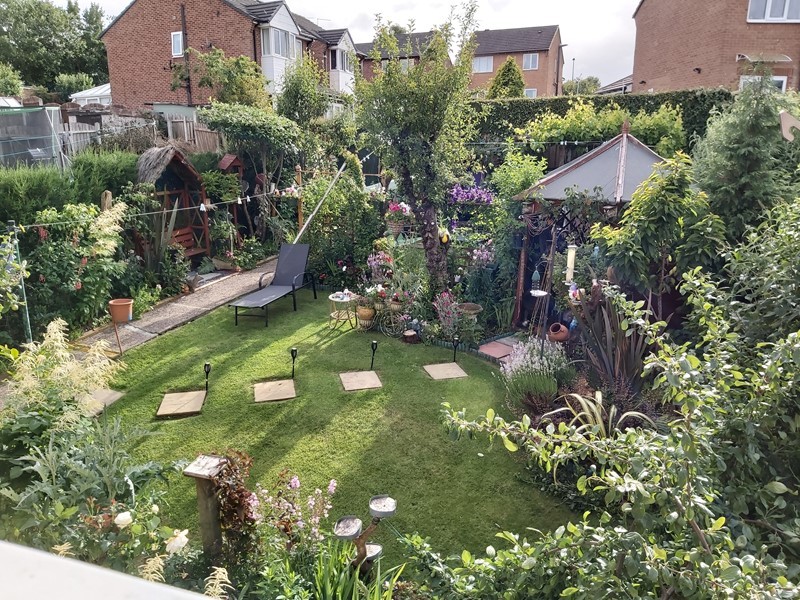 A garden in full bloom