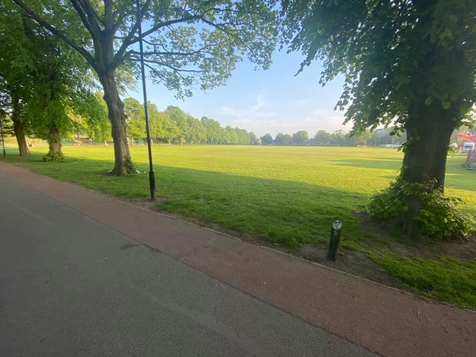 View of a path, trees overhead and looking out onto a field in the sun Hillsborough Park